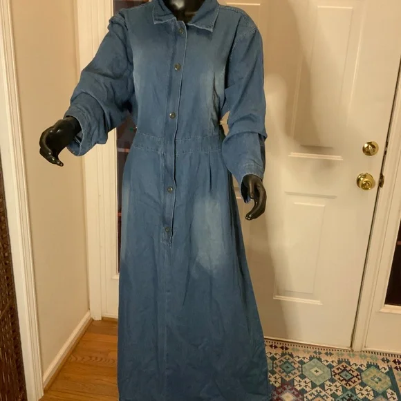 Ursime Denim Maxi Dress - Picture 2 of 9